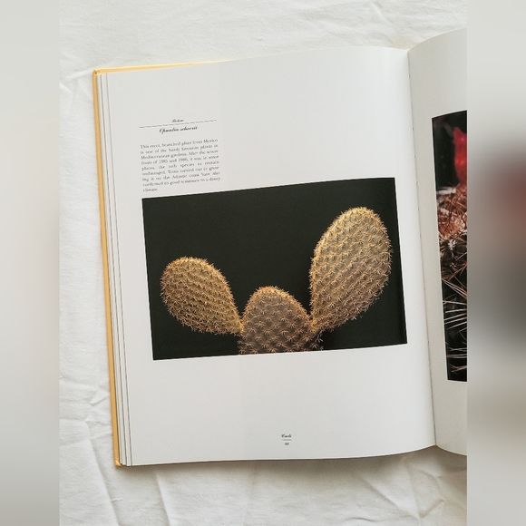 Cacti Book - Picture 4 of 4